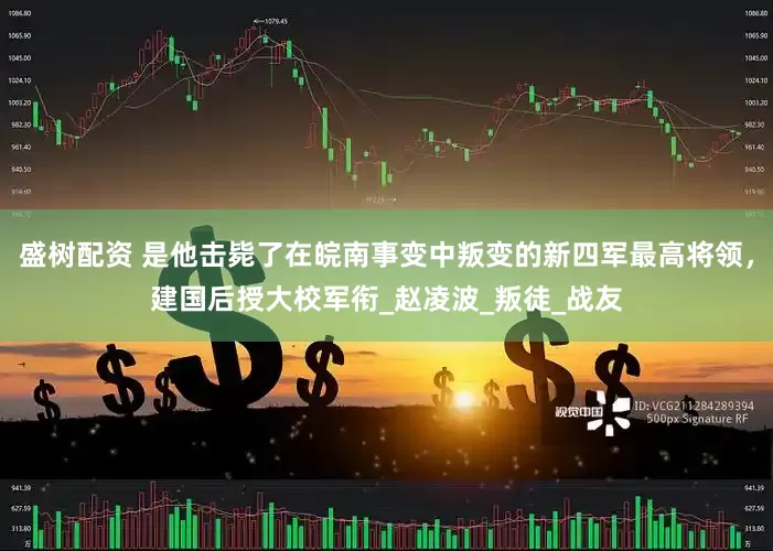 盛树配资 是他击毙了在皖南事变中叛变的新四军最高将领，建国后授大校军衔_赵凌波_叛徒_战友