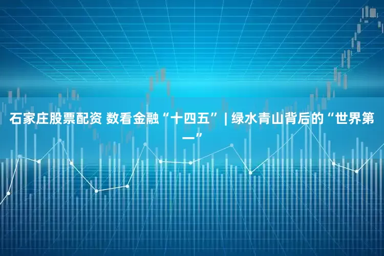 石家庄股票配资 数看金融“十四五” | 绿水青山背后的“世界第一”