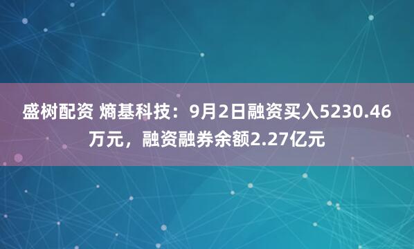 盛树配资 熵基科技：9月2日融资买入5230.46万元，融资融券余额2.27亿元